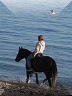 2009-06-02-Aktau-horse.JPG