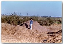 1991-031-Estela-in-El-Manzala-Egitto.JPG