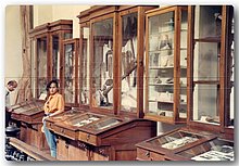 1991-Estela-museo-Cairo-Egitto-1989.JPG
