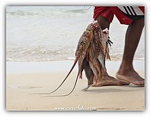 2014-07-Vacanze-Santo-Domingo-61.jpg