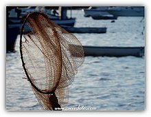 2016-Porto-Cesareo-Lecce-19.jpg