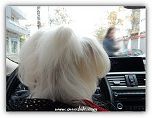 2018-0363-Luna-Estela.jpg