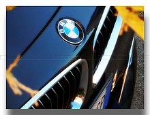 Bmw-Logo-Lecce.JPG