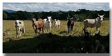 San-Jose-de-los-llanos-El-Campo-RD.jpg