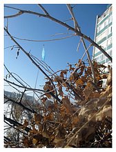 2010-Aktau-Sunday-sunshine-1.JPG