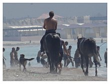 2012-08-Aktau-Kazakhstan-8.jpg