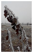 2014-12-Karabatan-Kazakhstan-67.jpg