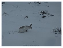 2015-02-Karabatan-Atyrau-Kazakhstan-13.JPG