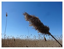 2015-03-Karabatan-Kazakhstan-7.JPG