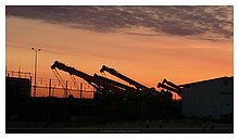 Cranes-Kuryk-Kazakhstan.jpg