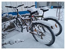 Kurik-Kazakhstan-2016.jpg