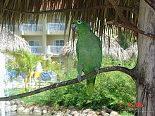 Bavaro-Beach-Republica-Dominicana-1.jpg