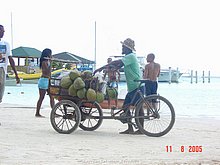 Boca-Chica-Republica-Dominicana-4.jpg