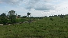 El-Puerto-San-Jose-De-los-Llanos-Macorix-10.jpg