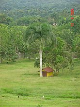 El-Puerto-San-Jose-De-los-Llanos-Macorix-14.jpg