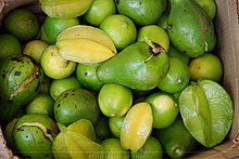 Fruta-Exotica-Republica-Dominicana-2.jpg