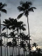 Juan-Dolio-Dominicana-by-Avveduto3.jpg