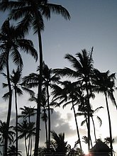 Naturaleza-Republica-Dominicana-11.jpg