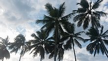Naturaleza-Republica-Dominicana-12.jpg