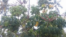 Naturaleza-Republica-Dominicana-13.jpg