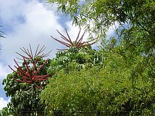 Naturaleza-Republica-Dominicana-2.jpg