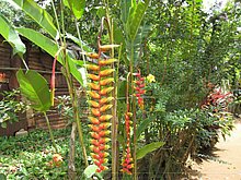 Naturaleza-Republica-Dominicana-6.jpg