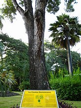 Naturaleza-Republica-Dominicana-9.jpg